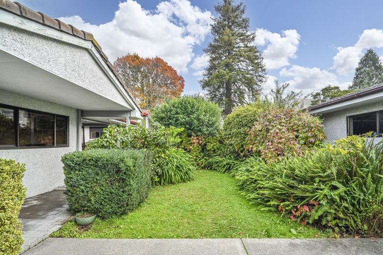 Photo of property in 507a Fitzroy Avenue, Hastings, 4122