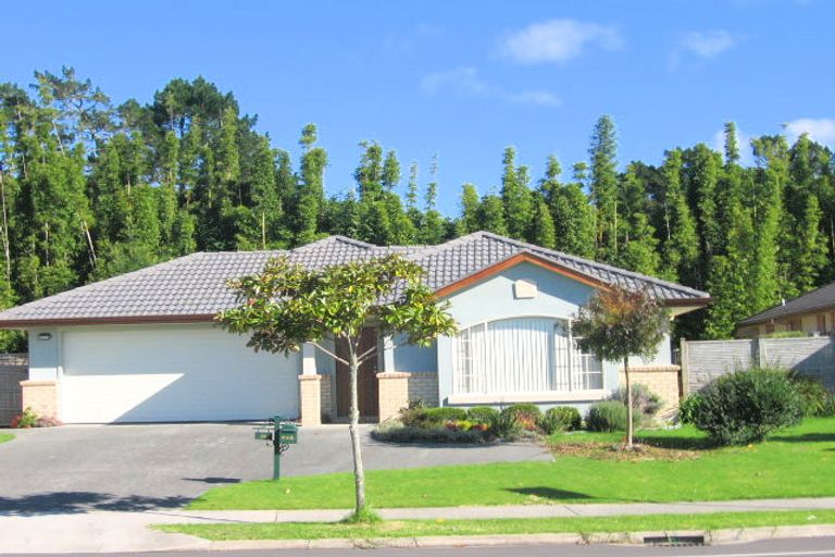 Photo of property in 86 Summerland Drive, Henderson, Auckland, 0612