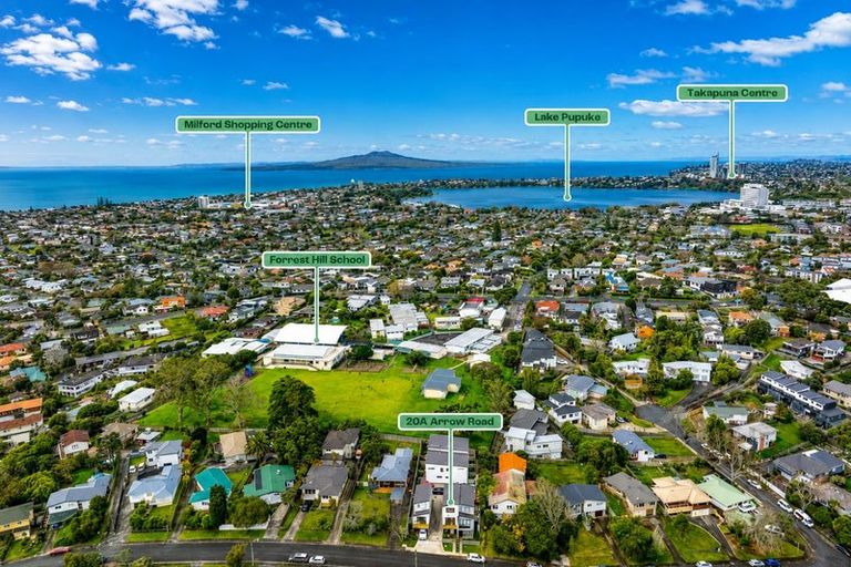 Photo of property in 20a Arrow Road, Forrest Hill, Auckland, 0620