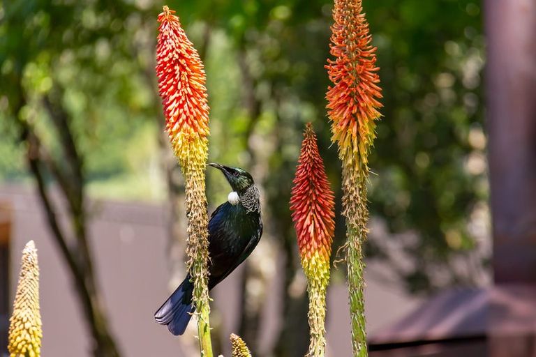 Photo of property in 159 Masterton Stronvar Road, Te Ore Ore, Masterton, 5886