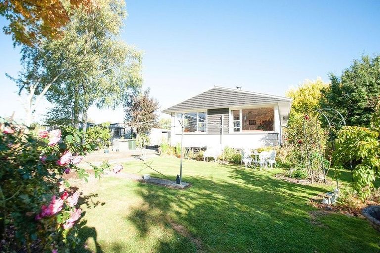 Photo of property in 11 Harrington Street, Lawrence, 9532