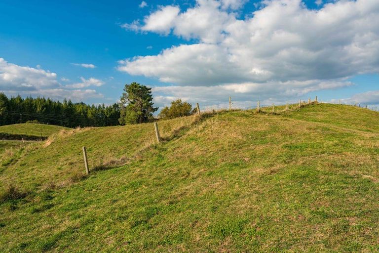 Photo of property in 65 Palmer Mill Road, Wairakei, Taupo, 3384