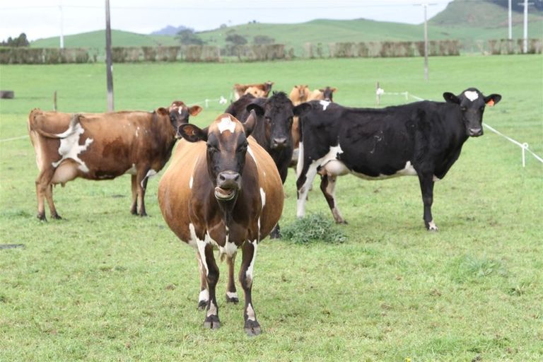 Photo of property in 87 Trig Road, Waihi, 3681