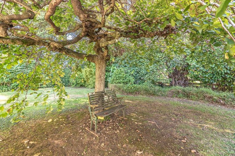 Photo of property in 110 Weraroa Road, Waverley, 4510