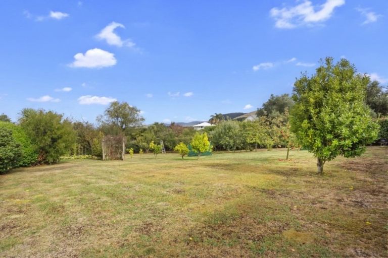 Photo of property in 6 Colesburg Lane, Waihi, 3610