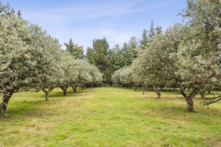 Photo of property in 108 State Highway 57, Levin, 5510