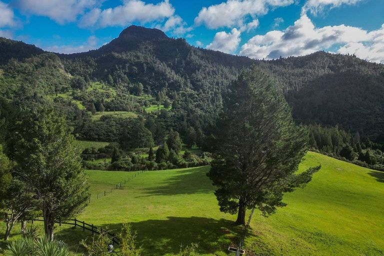 Photo of property in 555 Mill Creek Road, Kaimarama, Whitianga, 3591