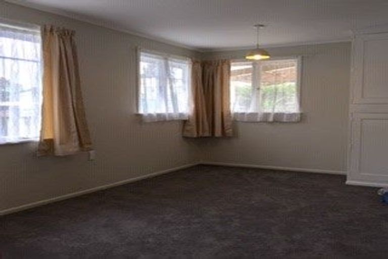 Photo of property in 138 Masters Avenue, Silverdale, Hamilton, 3216