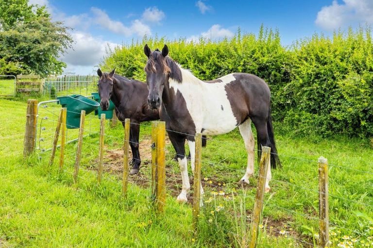 Photo of property in 29 Wharepuhunga Road, Otorohanga, Te Awamutu, 3873