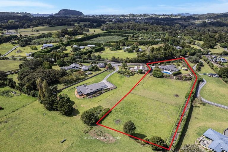 Photo of property in 60 Forest View Road, Te Kamo, Kamo, 0185