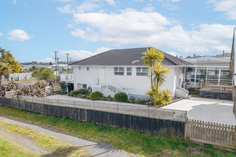 Photo of property in 60 Totara Street, Putaruru, 3411