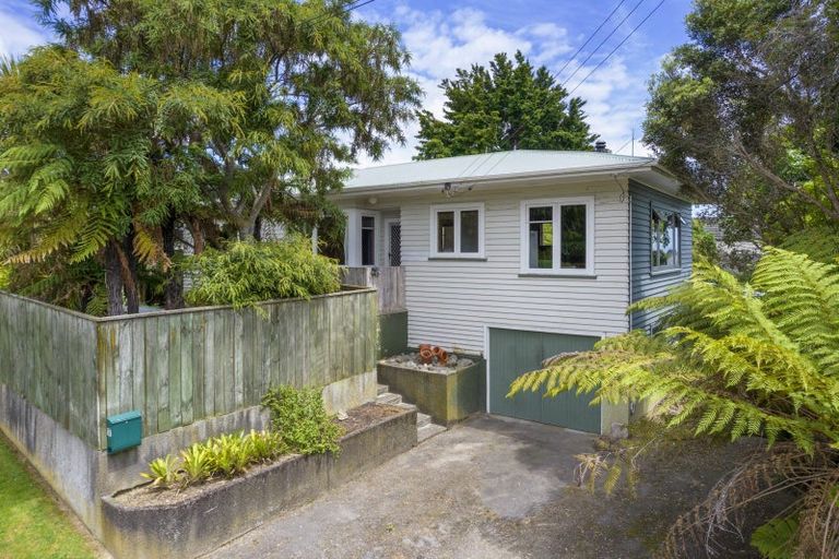 Photo of property in 17 Argyle Avenue, Levin, 5510