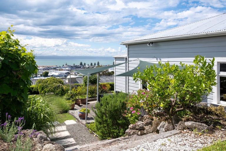 Photo of property in 8 Goldsmith Terrace, Hospital Hill, Napier, 4110