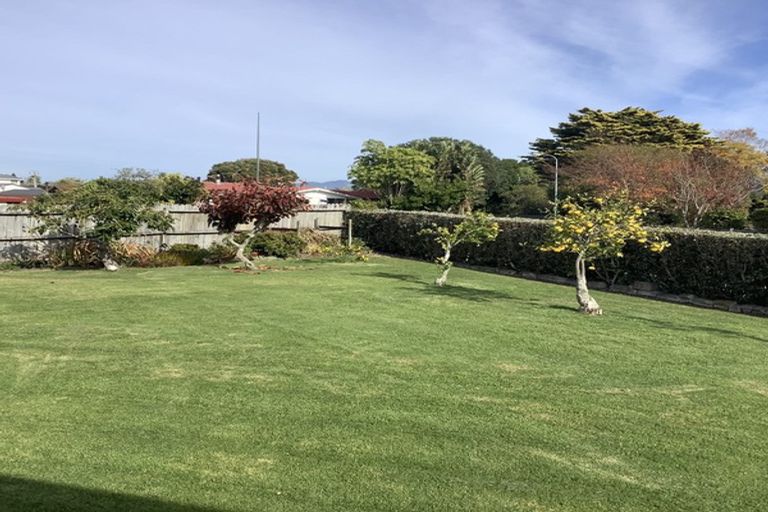 Photo of property in 4 Giles Way, Tanners Point, Katikati, 3177