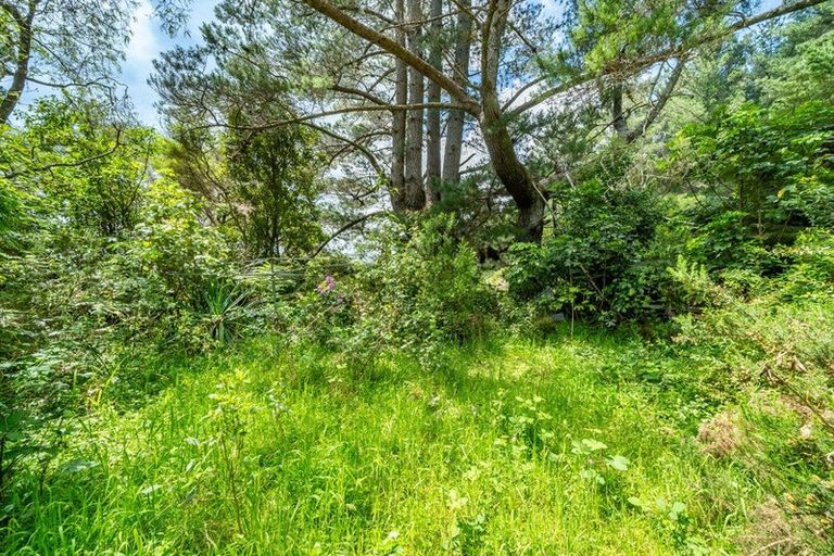 Photo of property in 220 Blue Mountains Road, Blue Mountains, Upper Hutt, 5371