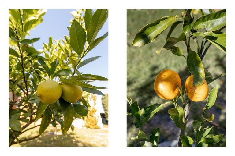 Photo of property in Waterview Estate, 70/4 Greystone Place, Omokoroa, 3114