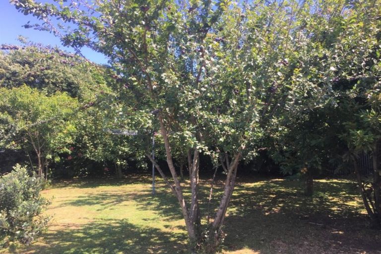 Photo of property in 101a Cracroft Street, Waitara, 4320