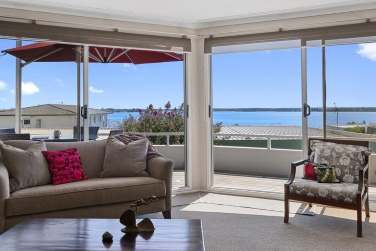 Photo of property in 38 Woods Avenue, Matua, Tauranga, 3110