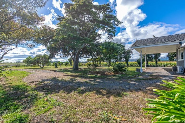 Photo of property in 431 Tane Road, Opiki, Palmerston North, 4474