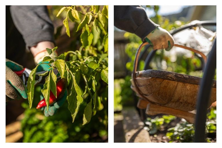 Photo of property in 101 Tararu Road, Thames, 3500