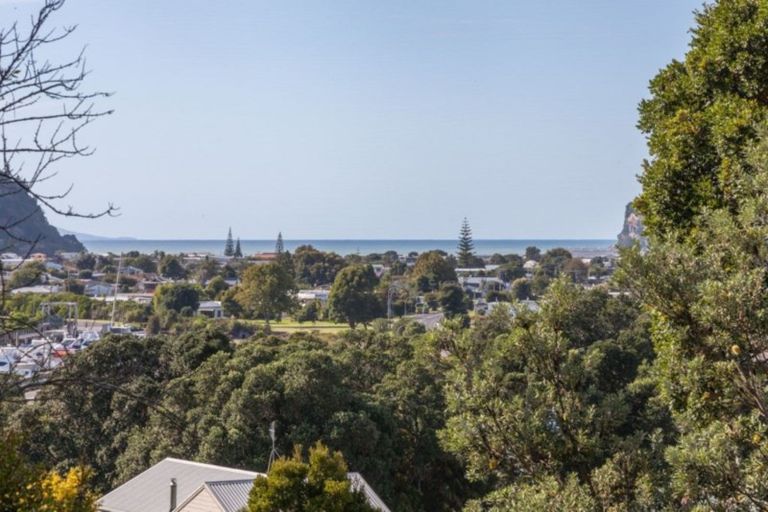 Photo of property in 117 Waireka Place, Whangamata, 3620