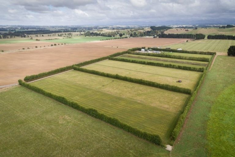 Photo of property in 1142 Ashcott Road, Ashley Clinton, Takapau, 4286