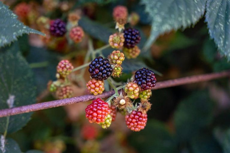 Photo of property in 7 Napoli Way, The Wood, Nelson, 7010