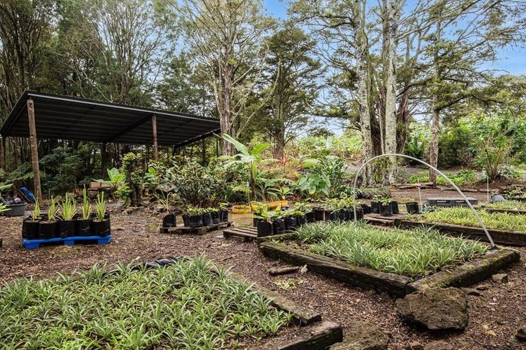 Photo of property in 304 Mangakahia Road, Maungatapere, Whangarei, 0179