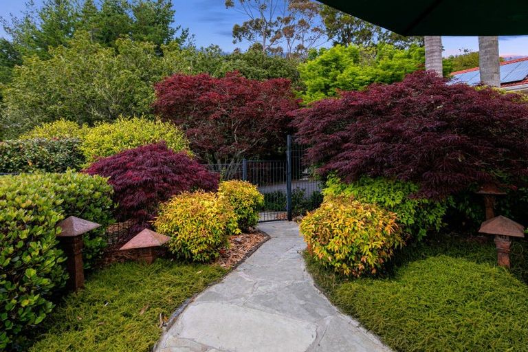 Photo of property in 807 Dairy Flat Highway, Dairy Flat, Albany, 0792