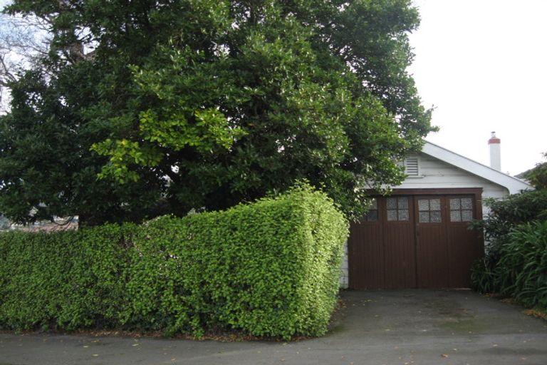 Photo of property in 107 Signal Hill Road, Opoho, Dunedin, 9010