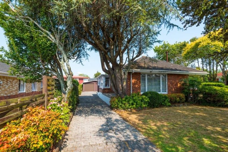 Photo of property in 3 Carlie Street, Papatoetoe, Auckland, 2025