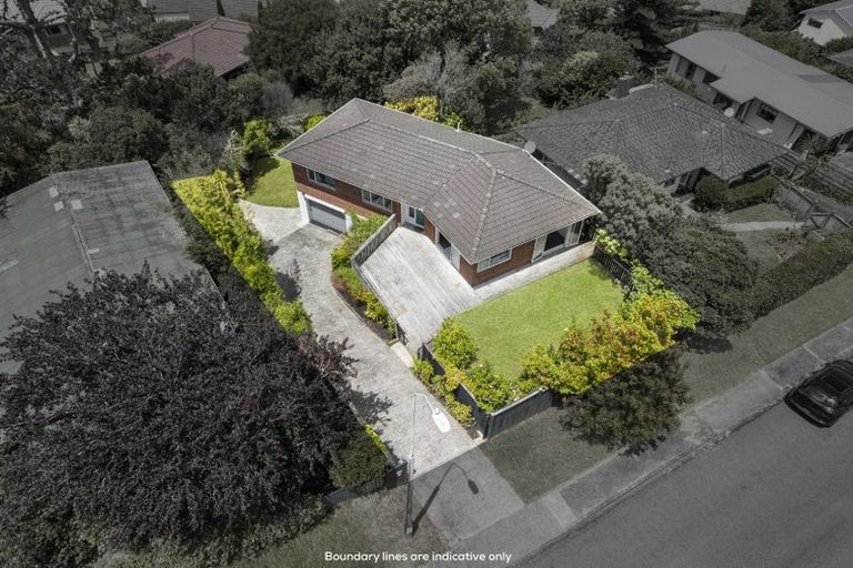 Photo of property in 41 Woodstock Road, Forrest Hill, Auckland, 0620