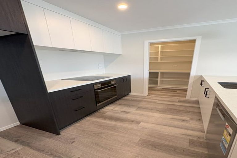 Photo of property in 103 Botanical Road, Takaro, Palmerston North, 4412