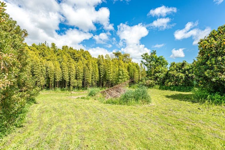 Photo of property in 19 Quick Avenue, Aramoho, Whanganui, 4500