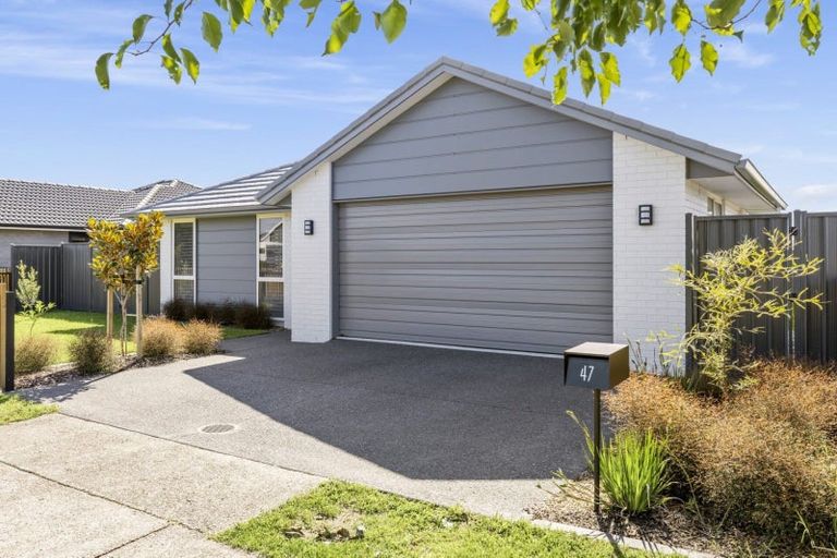 Photo of property in 47 Te Ranga Memorial Drive, Pyes Pa, Tauranga, 3112