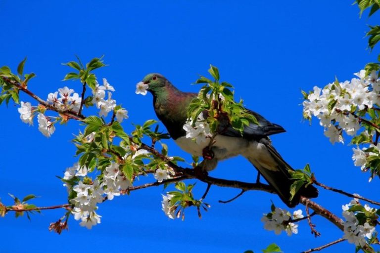 Photo of property in 198 Seaview Road, Westown, New Plymouth, 4310