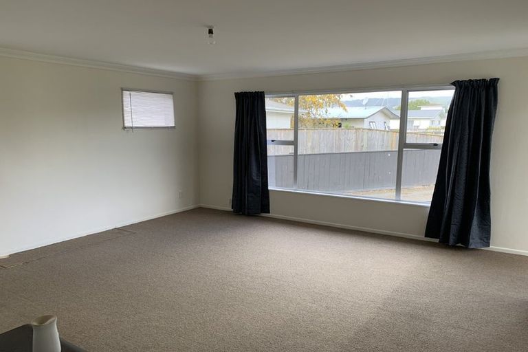 Photo of property in 90 Strathmore Avenue, Levin, 5510