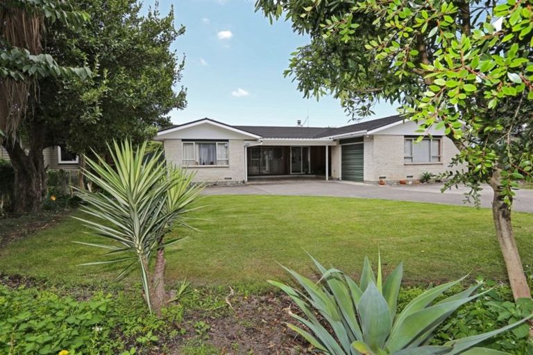 Photo of property in 201 Ikanui Road, Frimley, Hastings, 4120