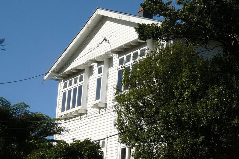 Photo of property in 53 Durham Street, Aro Valley, Wellington, 6021