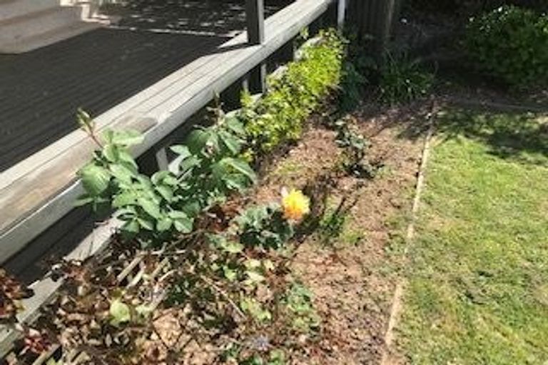 Photo of property in 19 Bramley Drive, Omokoroa, 3114