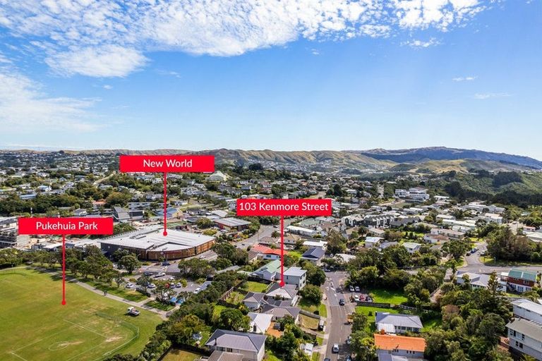 Photo of property in 103 Kenmore Street, Newlands, Wellington, 6037