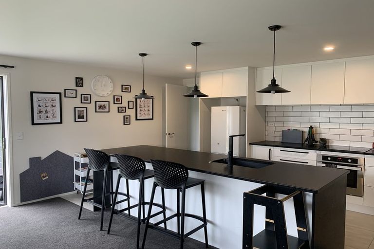 Photo of property in 24 Bonecrusher Street, Lincoln, 7608