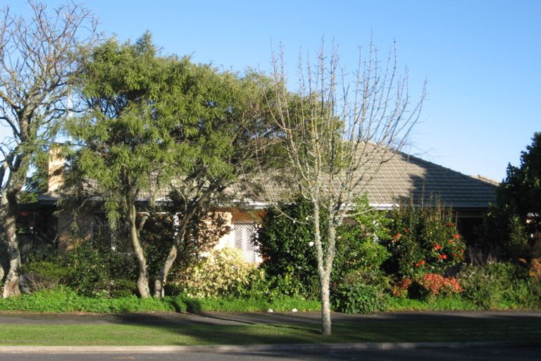 Photo of property in 155 Nixon Street, Hamilton East, Hamilton, 3216