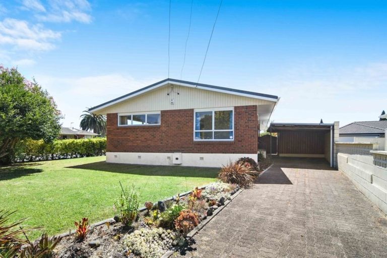 Photo of property in 31 Donny Avenue, Chartwell, Hamilton, 3210
