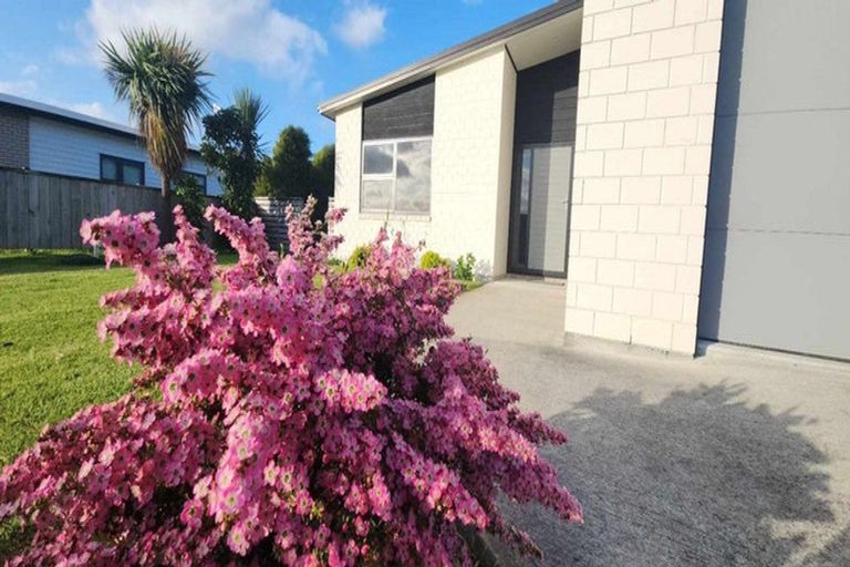 Photo of property in 35 Gallipoli Place, Paraparaumu, 5032