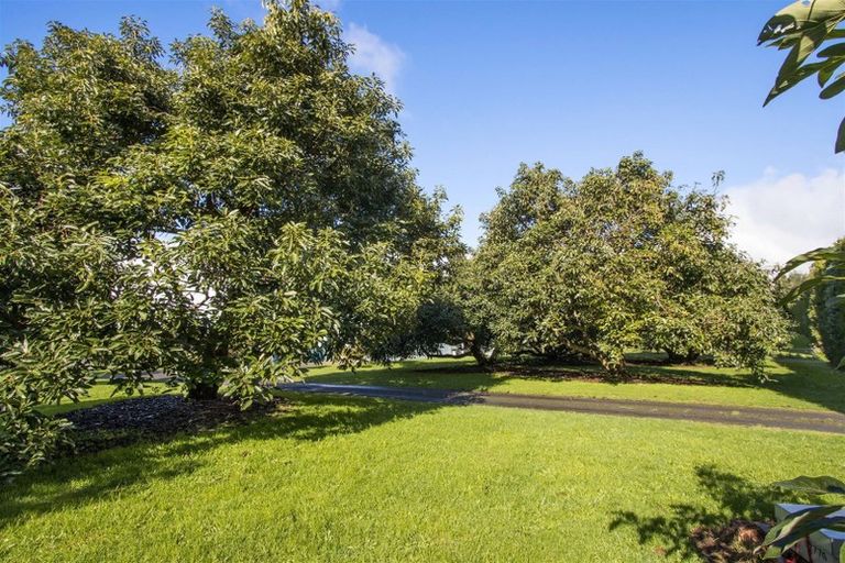 Photo of property in 242 Woodland Road, Tahawai, Katikati, 3170