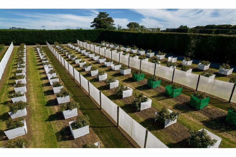 Photo of property in 581 Kerikeri Road, Kerikeri, 0293