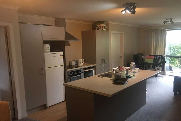 Photo of property in 1/27 Hogan Street, Hamilton East, Hamilton, 3216