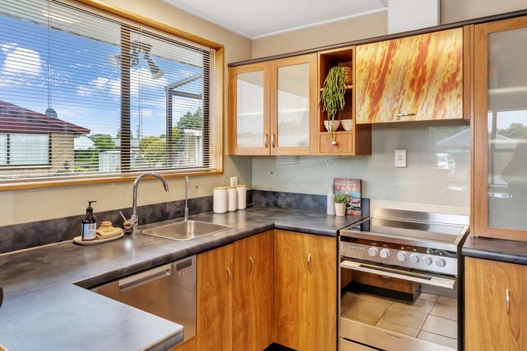 Photo of property in 10 Merlin Place, Gore, 9710