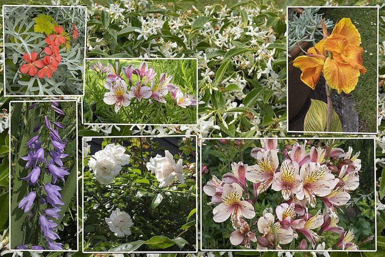 Photo of property in 38 Harley Close, Hauraki, Auckland, 0622